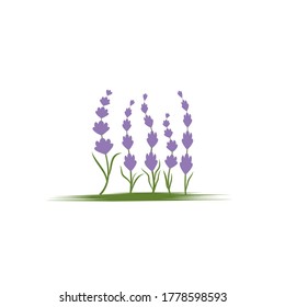 Lavender Logo Template vector symbol nature