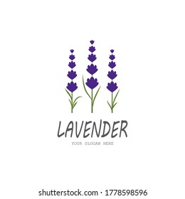 Naturaleza del símbolo vectorial de la plantilla de logotipo de lavanda