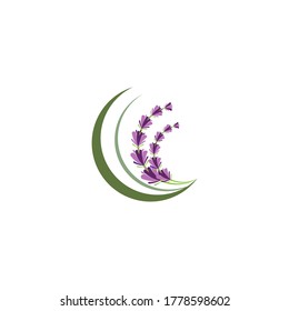 Lavender Logo Template vector symbol nature