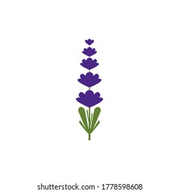 Lavender Logo Template vector symbol nature