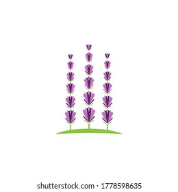 Lavender Logo Template vector symbol nature