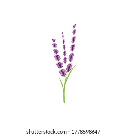 Naturaleza del símbolo vectorial de la plantilla de logotipo de lavanda