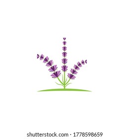Naturaleza del símbolo vectorial de la plantilla de logotipo de lavanda