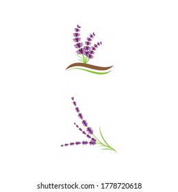 Lavender Logo Template vector symbol nature