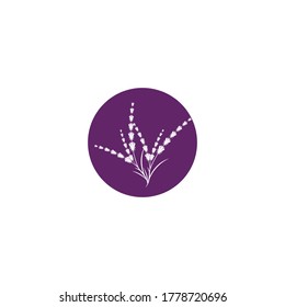 Lavender Logo Template vector symbol nature