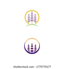 Lavender Logo Template vector symbol nature