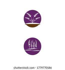 Lavender Logo Template vector symbol nature