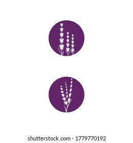Vorlage für Lavendel-Logo, Vektorsymbol