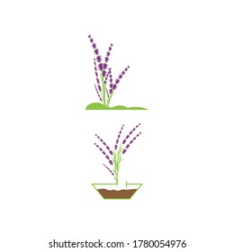 Lavender Logo Template vector symbol nature