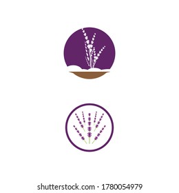 Lavender Logo Template vector symbol nature