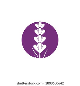 Lavender Logo Template vector symbol nature