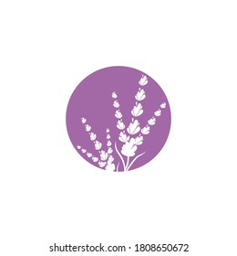 Naturaleza del símbolo vectorial de la plantilla de logotipo de lavanda