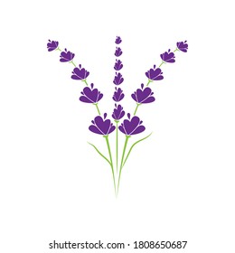 Lavender Logo Template vector symbol nature