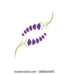 Lavender Logo Template vector symbol nature