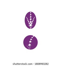 Lavender Logo Template vector symbol nature