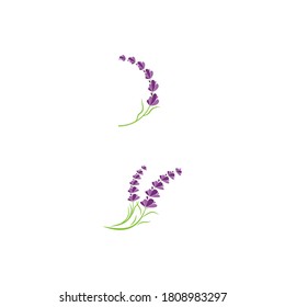 Lavender Logo Template vector symbol nature