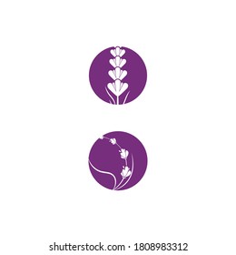 Lavender Logo Template vector symbol nature