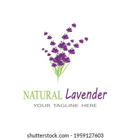 Naturaleza del símbolo vectorial de la plantilla de logotipo de lavanda