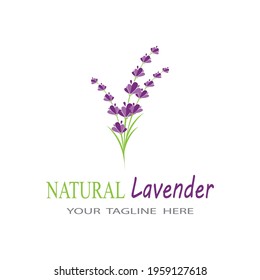 Lavender Logo Template vector symbol nature