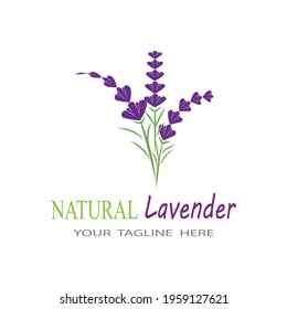 Lavender Logo Template vector symbol nature