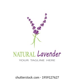 Lavender Logo Template vector symbol nature