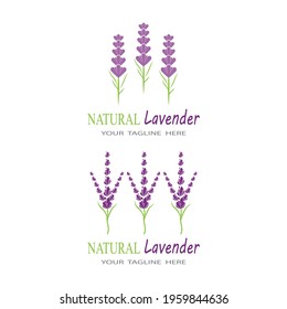 Lavender Logo Template vector symbol nature
