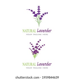 Lavender Logo Template vector symbol nature
