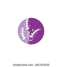 Lavender Logo Template vector symbol nature