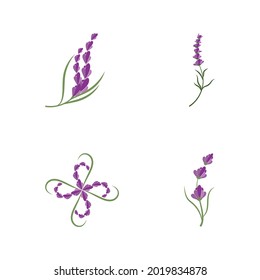 Lavender Logo Template vector symbol nature
