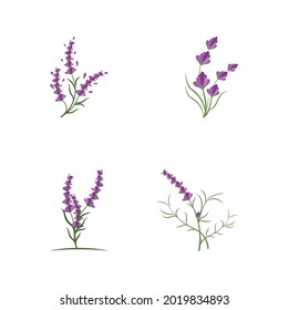 Lavender Logo Template vector symbol nature