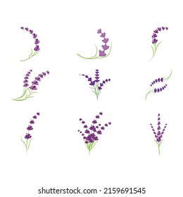 Lavender Logo Template vector symbol nature