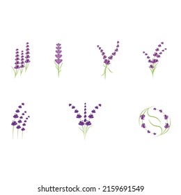Lavender Logo Template vector symbol nature