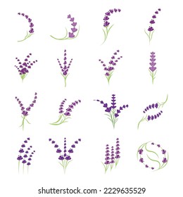 Lavender Logo Template vector symbol nature