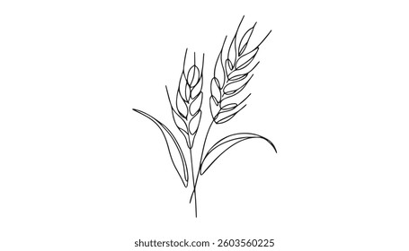 Lavender Lush line art art vector