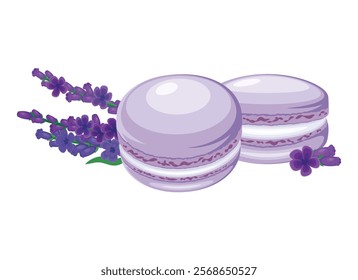 Lavender macarons and lavender sprig icon set vector illustration. Purple french macaroons icon vector isolated on a white background. Macarons and fresh lavender flower drawing