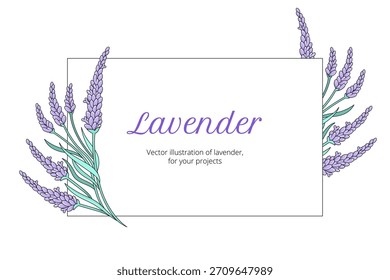 Composición floral mínima de lavanda con flores dibujadas a mano. Elegante Plantilla botánica para etiquetas, embalajes y tarjetas de invitación.