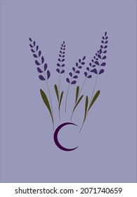 Lavender and moon purple illustration for greetings, design or beuty industry.