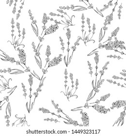 lavender natural hand drawn pattern white and black illustration. Herbal botanical  decoration background