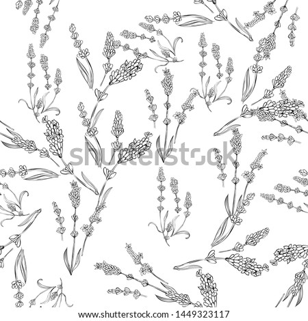 lavender natural hand drawn pattern white and black illustration. Herbal botanical  decoration background