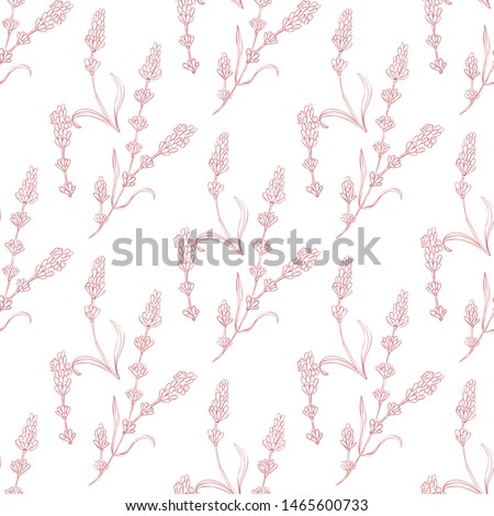 lavender natural hand drawn pattern native pashion  herbal botanical  decoration background