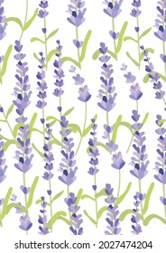 lavender on a White background.Eps 10 vector.