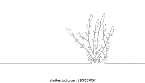 Lavender. One single line. Vector illustration. Doodle floral border