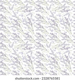 Lavender outline seamless pattern. Botanical background, french flowers. Provence lavender flowers.