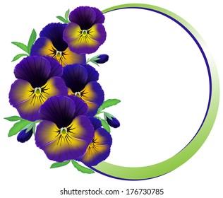 Lavender Pansy and Bud isolated on a white background. Viola hortensis, also called Heartsease. frame of flowers pansies