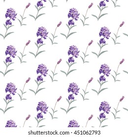 Lavender pattern with flowers in watercolor paint style Vector . Gentle blossom floral bouquet. Vintage Label with lavender beautiful fragrance