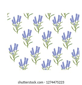 lavender pattern on white background
