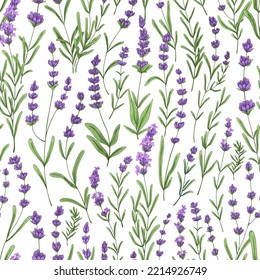 Motivo de lavanda con flores moradas y hojas. Fondo floral impecable, impresión repetida. Textura repetible botánica, diseño provenzal con lavanda. Ilustración vectorial para textil, envoltura