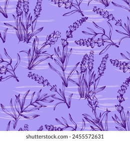 patrón de lavanda sin fisuras. Impresión para impresión en textiles, ropa, embalaje. Comercialización de productos de lavanda. Ilustración vectorial, dibujada a mano.