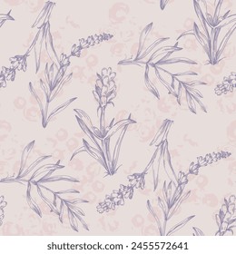 lavender pattern seamless. Print for printing on textiles, clothing, packaging. Marketing of lavender products. Vector illustration, hand drawn.