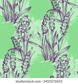 lavender pattern seamless. Print for printing on textiles, clothing, packaging. Marketing of lavender products. Vector illustration, hand drawn.